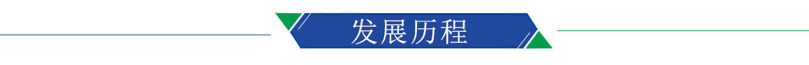 發展曆程